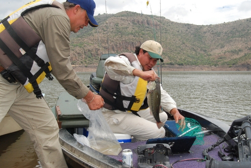 Presa Guadalupe Victoria2.jpg